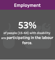 Employment. 53% of people (15-64) with disability are participating in the labour force.